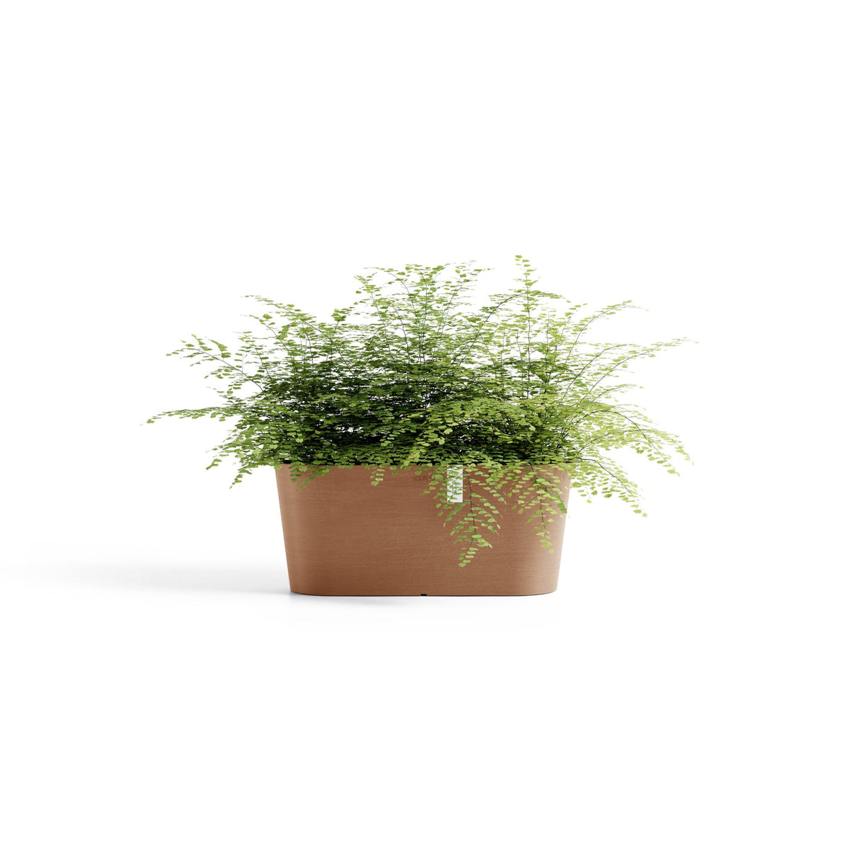 Kukkaruukku Tokio 40cm terracotta – kasvin kanssa