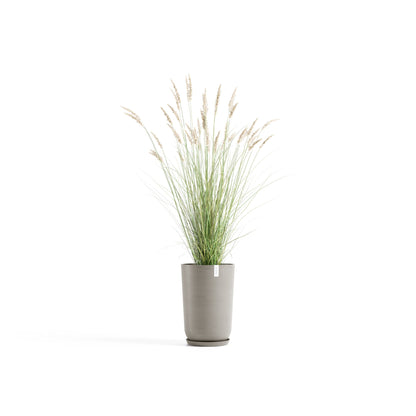 Kukkaruukku Oslo korkea 52cm taupe – aluslautasen ja kasvin kanssa
