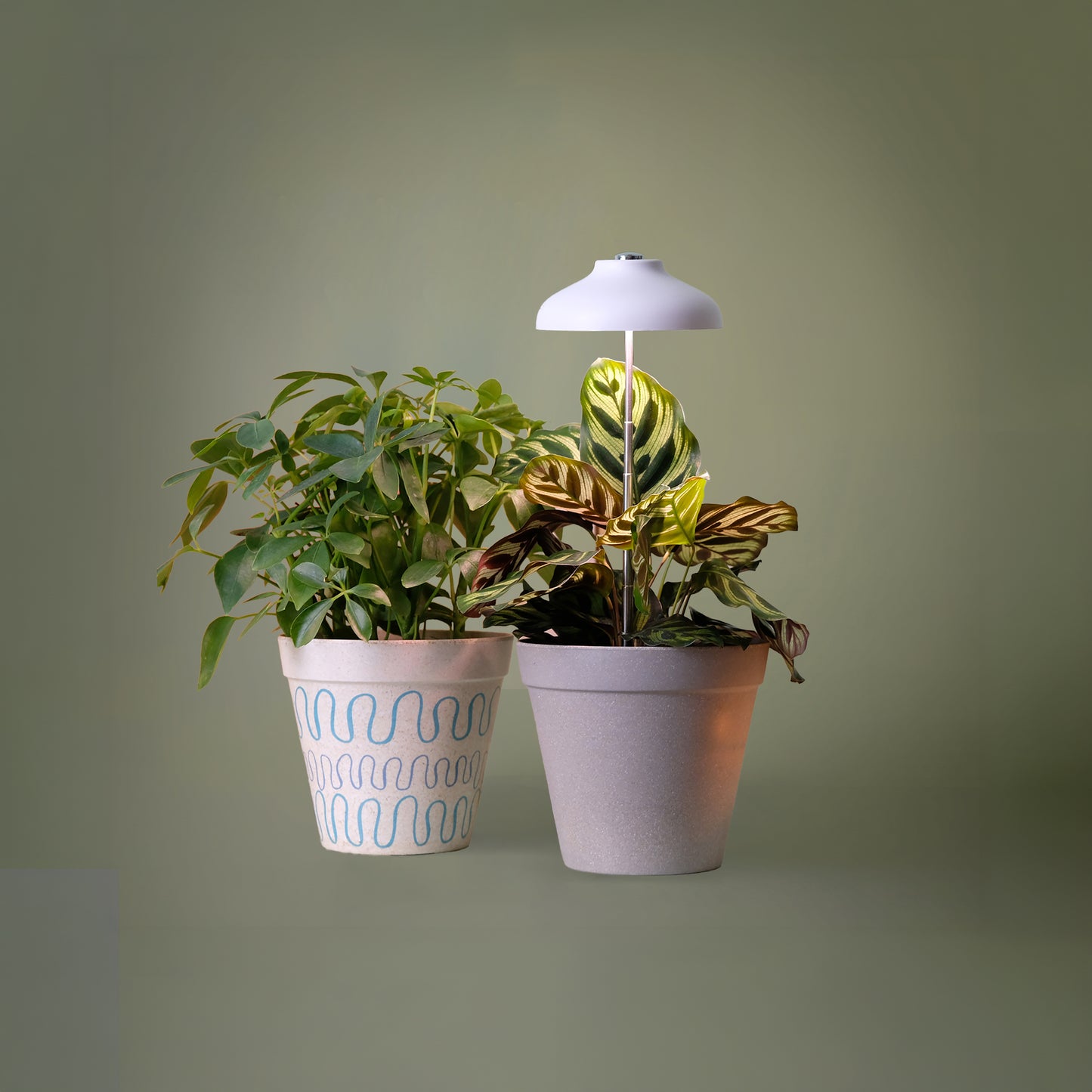 Kasvivalo Led teleskooppijalalla