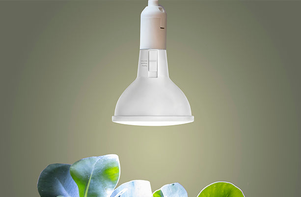 Kasvilamppu E27 25W 3-Valotilaa