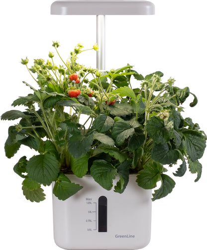Water barrel 100l gray with tap, lid and stand 