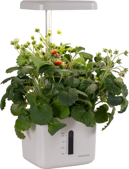 Water barrel 100l gray with tap, lid and stand 