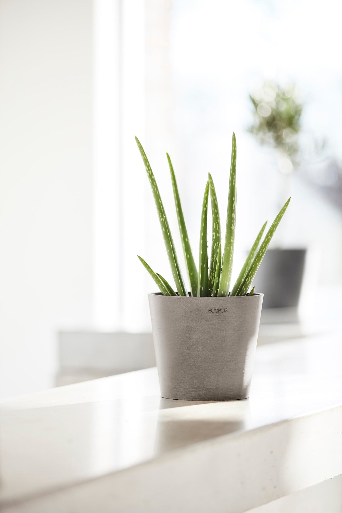 Kukkaruukku Amsterdam 20cm taupe – tunnelmakuva