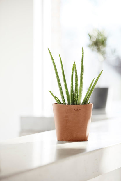 Kukkaruukku Amsterdam 25cm terracotta – tunnelmakuva
