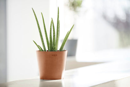 Kukkaruukku Amsterdam 25cm terracotta – tunnelmakuva