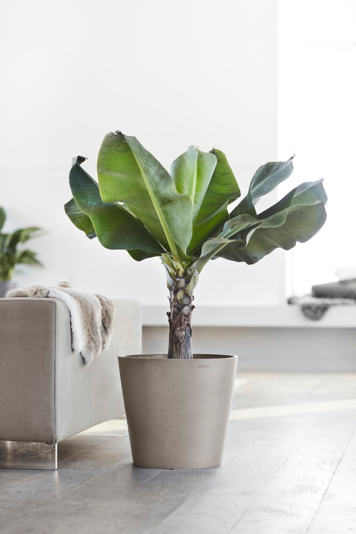 Kukkaruukku Amsterdam 60cm taupe – tunnelmakuva 2