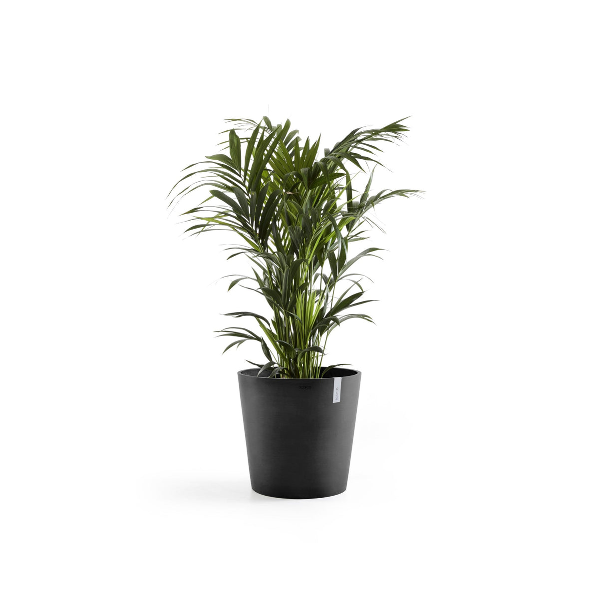 Kukkaruukku Amsterdam 70cm tummanharmaa – kasvin kanssa 2