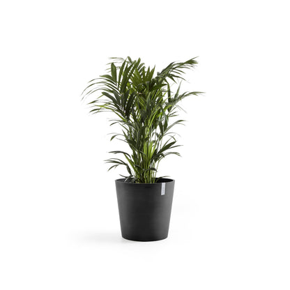 Kukkaruukku Amsterdam 70cm tummanharmaa – kasvin kanssa 2