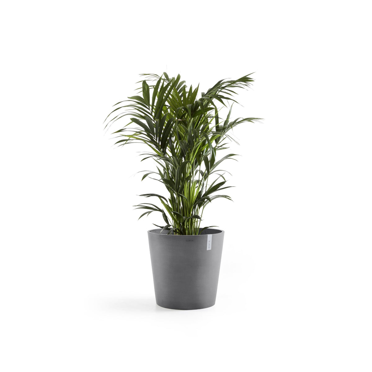 Kukkaruukku Amsterdam 70cm harmaa – kasvin kanssa 2