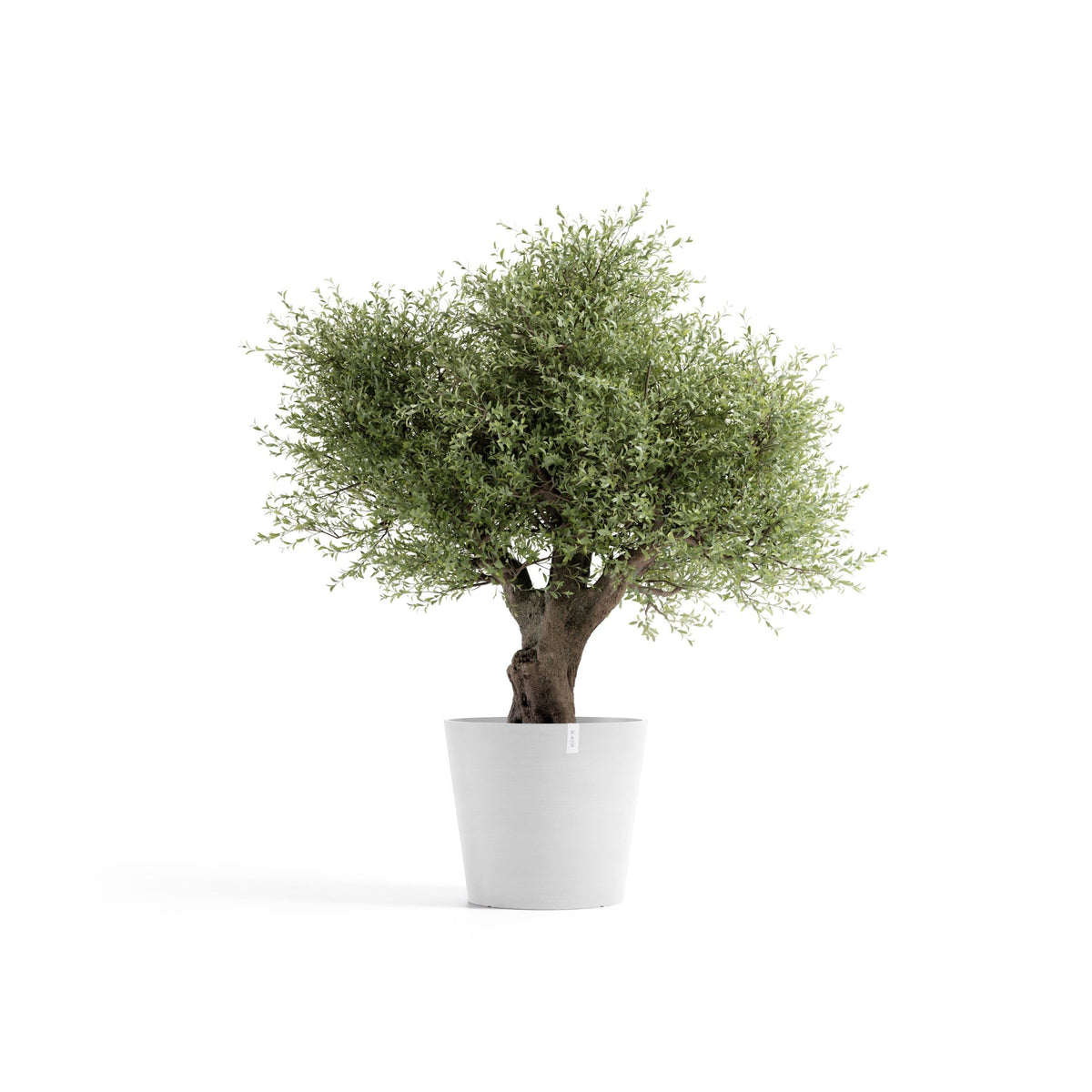 Kukkaruukku Amsterdam 70cm valkoinen – kasvin kanssa