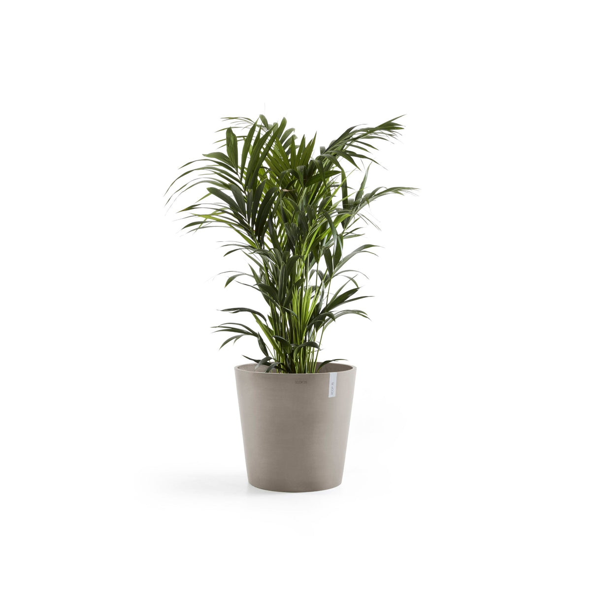 Kukkaruukku Amsterdam 70cm taupe – kasvin kanssa 2