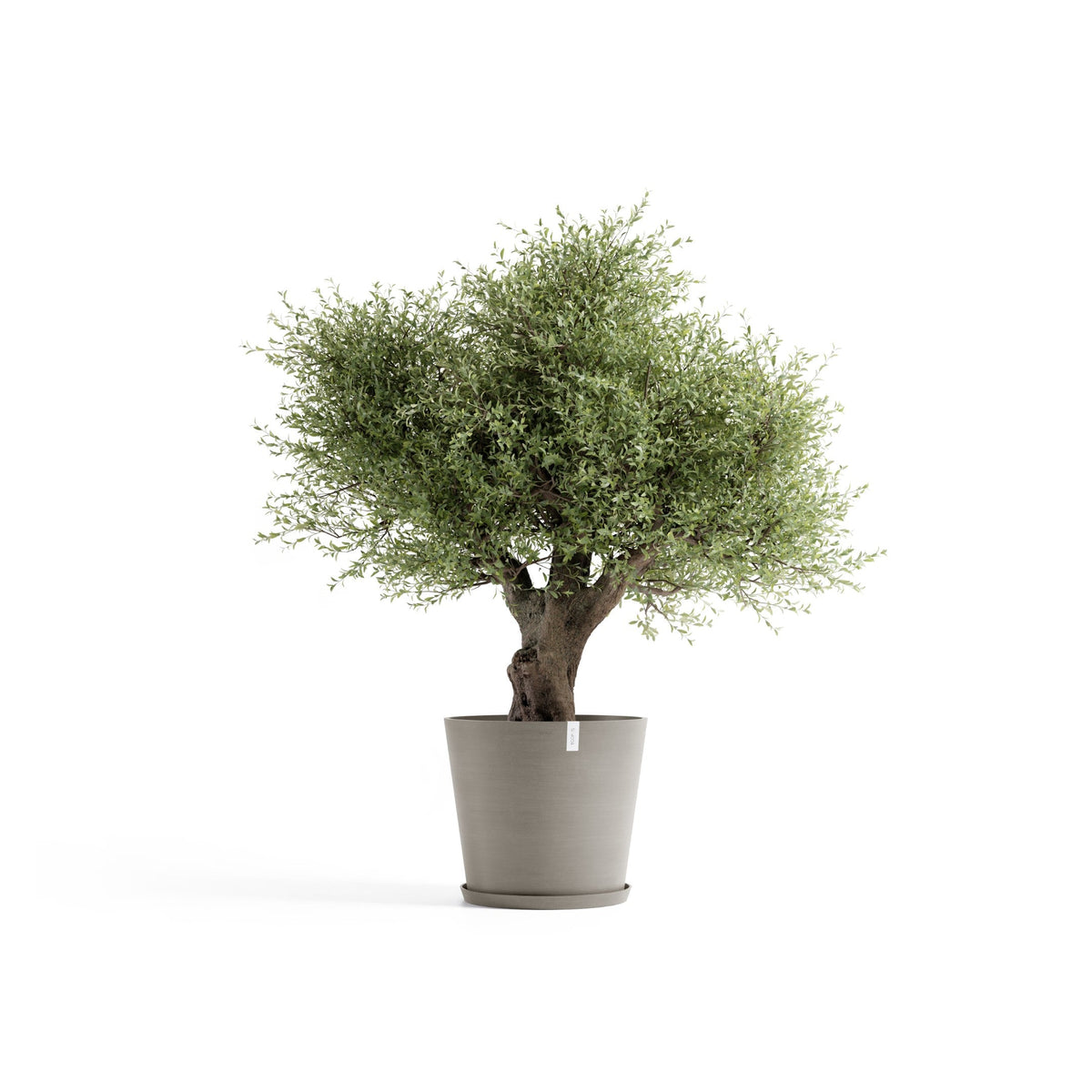 Kukkaruukku Amsterdam 70cm taupe – aluslautasen ja kasvin kanssa