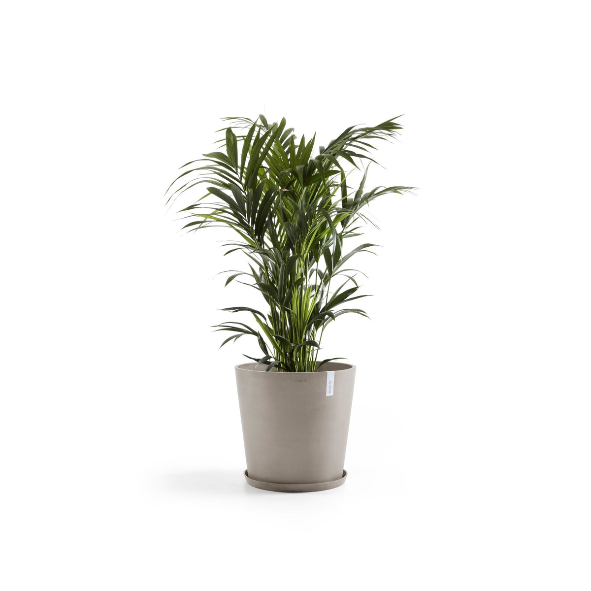 Kukkaruukku Amsterdam 70cm taupe – aluslautasen ja kasvin kanssa 2