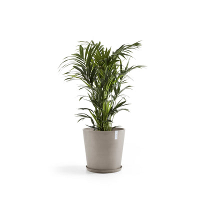 Kukkaruukku Amsterdam 70cm taupe – aluslautasen ja kasvin kanssa 2
