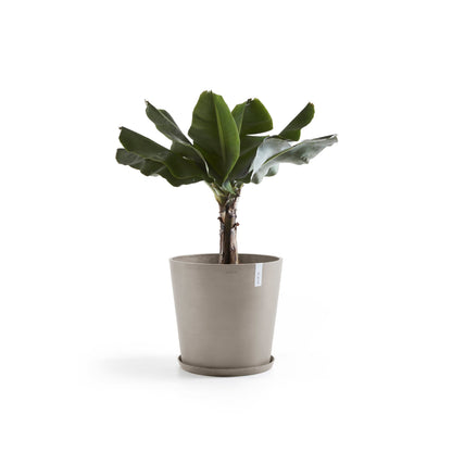 Kukkaruukku Amsterdam 70cm taupe – aluslautasen ja kasvin kanssa 3
