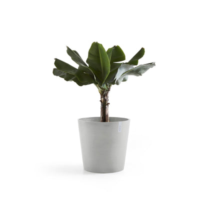 Kukkaruukku Amsterdam 70cm valkoharmaa – kasvin kanssa 3