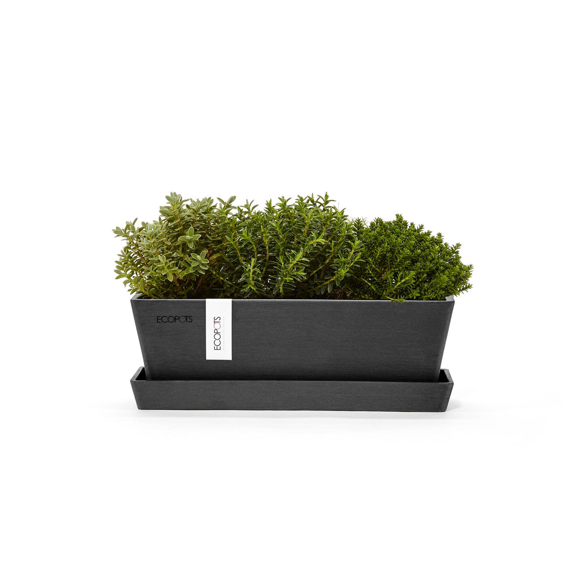 Kukkaruukku Bruge 25cm + aluslautanen tummanharmaa – kasvin kanssa