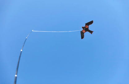 Scarecrow Blackbird 5m 