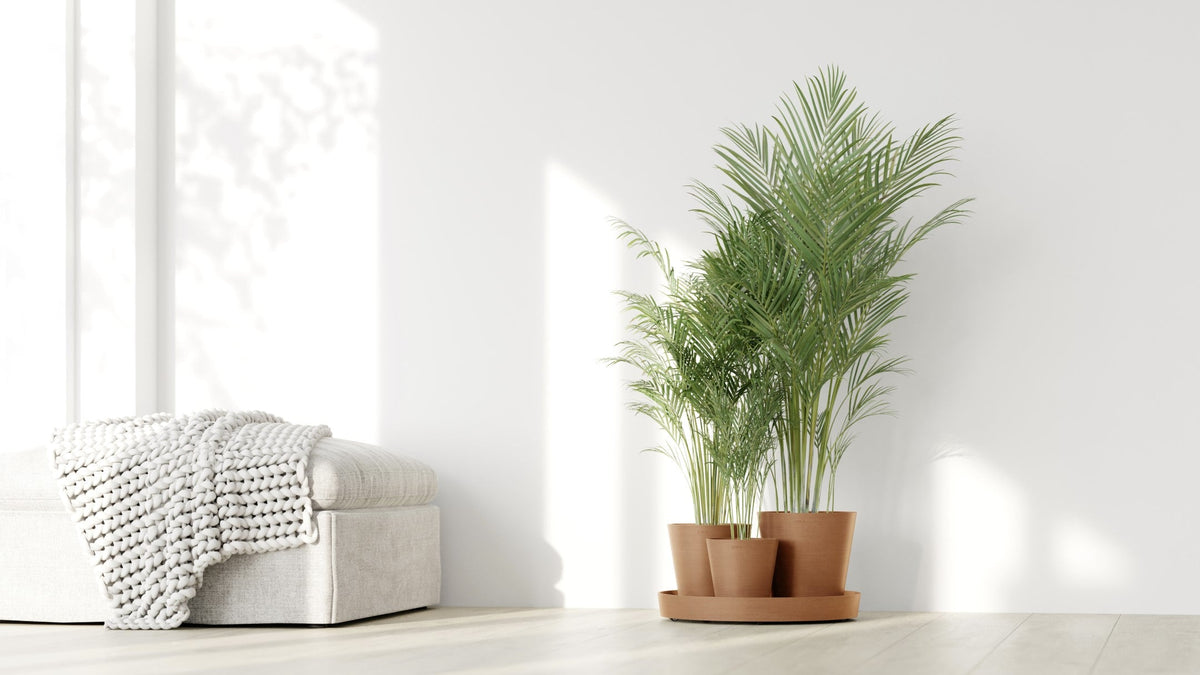 Kukkaruukku Dubai 56cm terracotta – tunnelmakuva