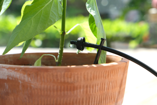 Automatic drip irrigation system S-12 