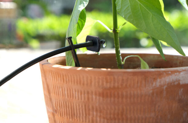 Automatic drip irrigation system S-12 