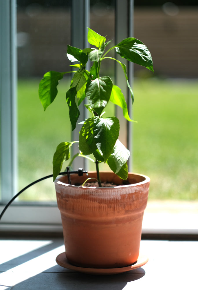 Automatic drip irrigation system S-12 