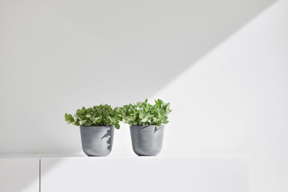 Kukkaruukku Oslo 11,5cm siniharmaa – tunnelmakuva