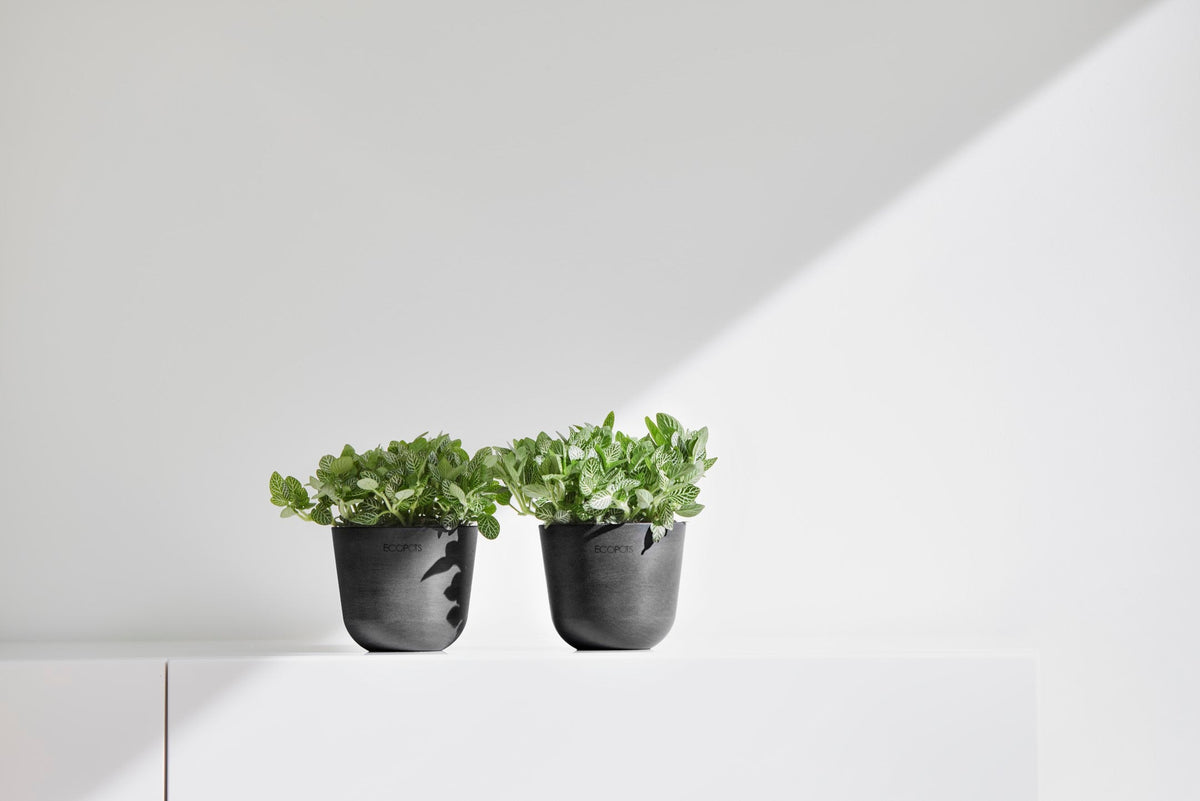 Kukkaruukku Oslo 11,5cm tummanharmaa – tunnelmakuva