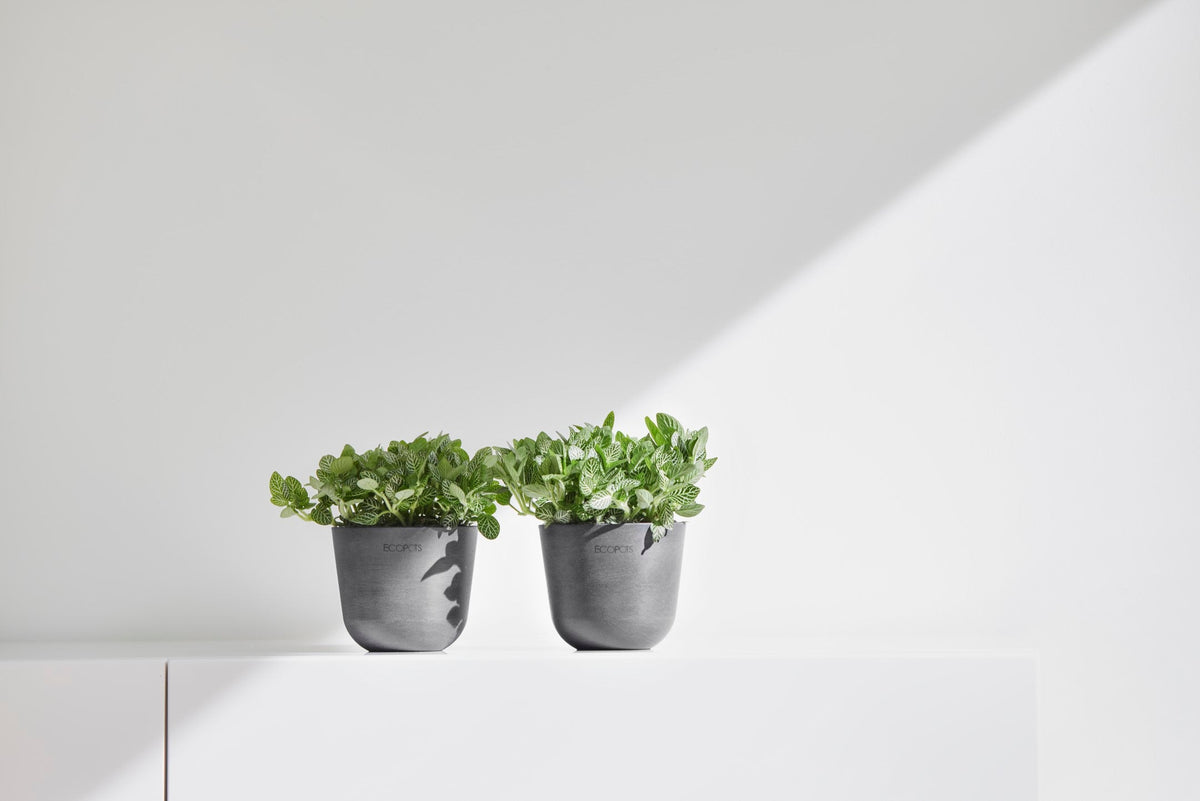 Kukkaruukku Oslo 11,5cm harmaa – tunnelmakuva