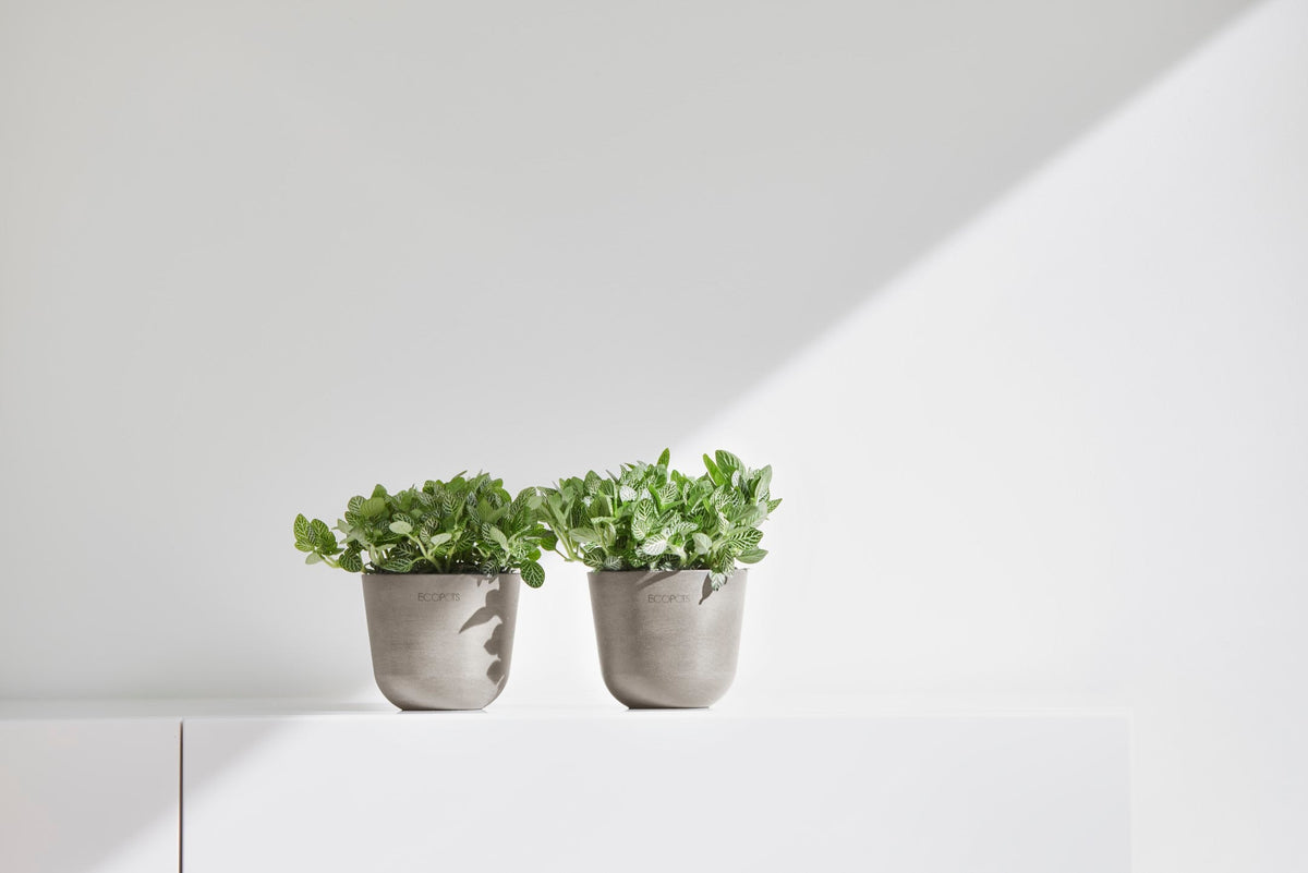 Kukkaruukku Oslo 11,5cm taupe – tunnelmakuva