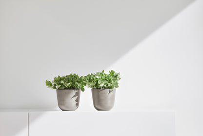 Kukkaruukku Oslo 11,5cm taupe – tunnelmakuva