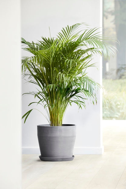 Kukkaruukku Sankara 40cm harmaa – tunnelmakuva
