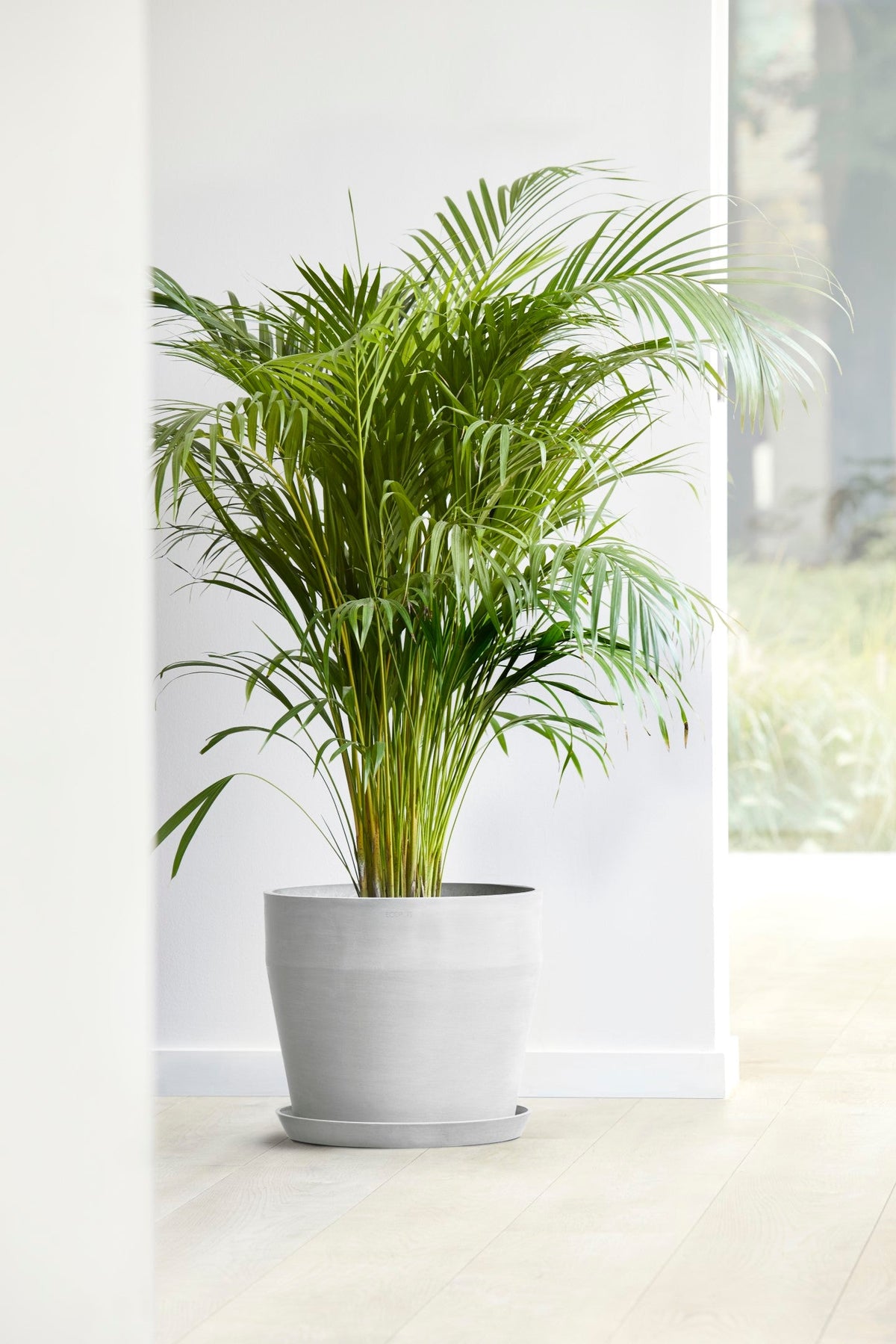Kukkaruukku Sankara 40cm valkoharmaa – tunnelmakuva