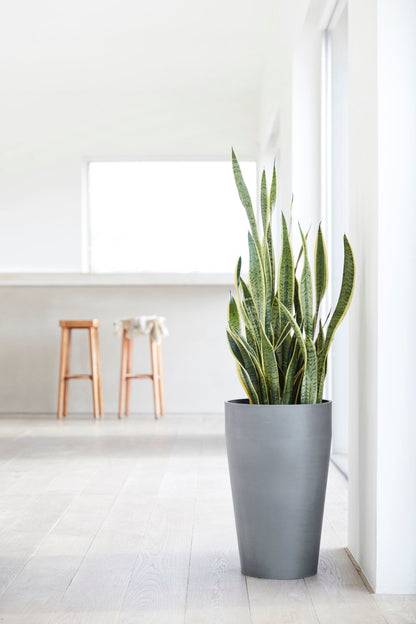Kukkaruukku Sankara korkea 75cm siniharmaa – tunnelmakuva