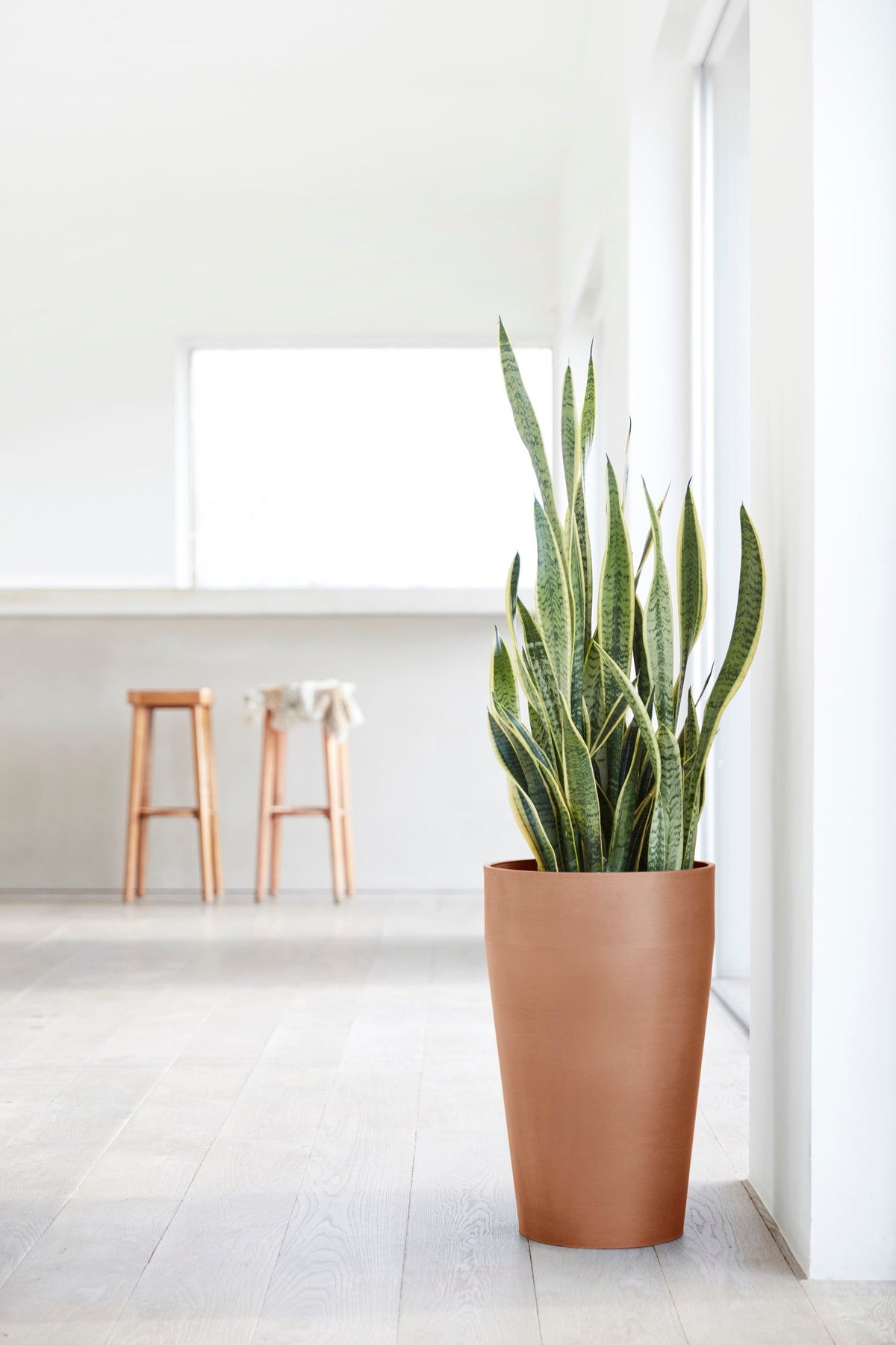 Kukkaruukku Sankara korkea 75cm terracotta – tunnelmakuva