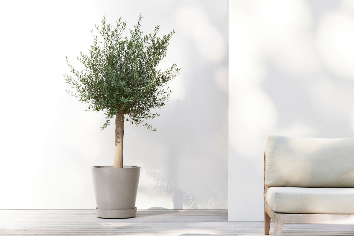 Aluslautanen Amsterdam pyörillä 50cm taupe – tunnelmakuva 2