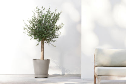 Aluslautanen Amsterdam pyörillä 50cm taupe – tunnelmakuva 2
