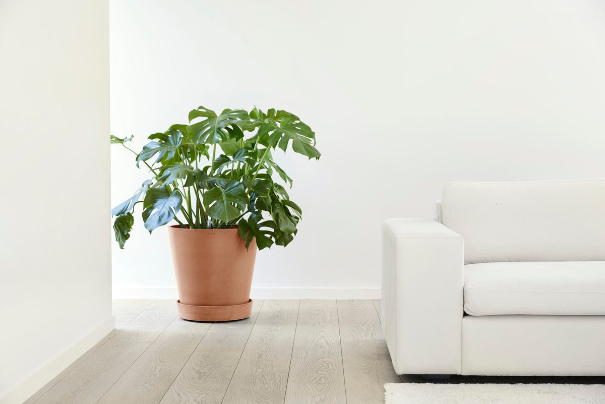 Aluslautanen Amsterdam pyörillä 70cm terracotta – tunnelmakuva