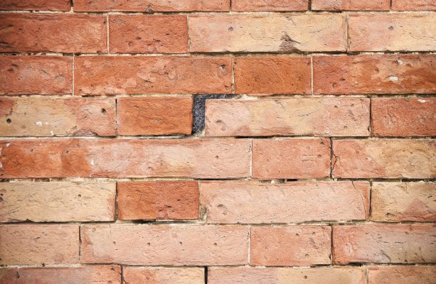 Möss & Råttor stålull 40 cm