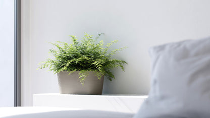 Kukkaruukku Tokio 40cm taupe – tunnelmakuva