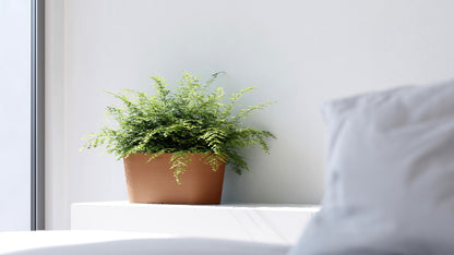 Kukkaruukku Tokio 40cm terracotta – tunnelmakuva