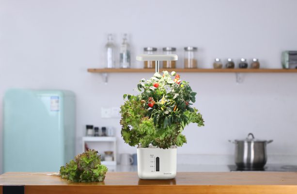 Water barrel 100l gray with tap, lid and stand 