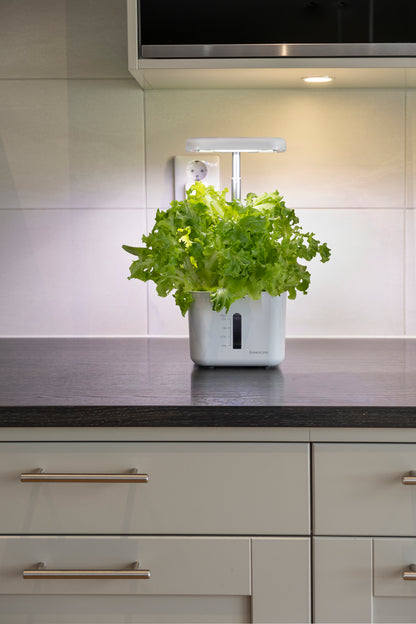 Water barrel 100l gray with tap, lid and stand 