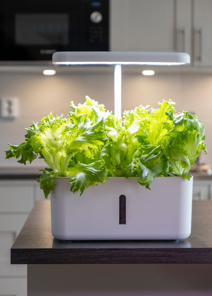 Hydroponinen vesiviljelyjärjestelmä Urban Growing P8