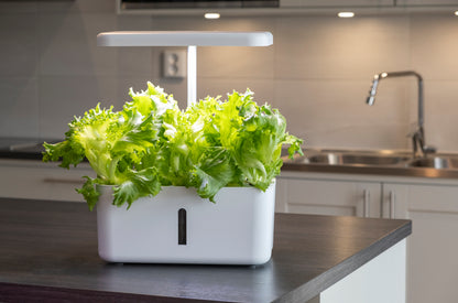 Hydroponinen vesiviljelyjärjestelmä Urban Growing P8