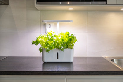 Hydroponinen vesiviljelyjärjestelmä Urban Growing P8