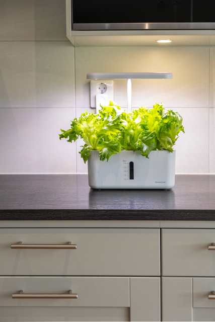 Water barrel 100l gray with tap, lid and stand 