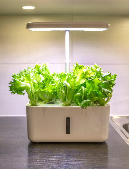 Hydroponinen vesiviljelyjärjestelmä Urban Growing P8