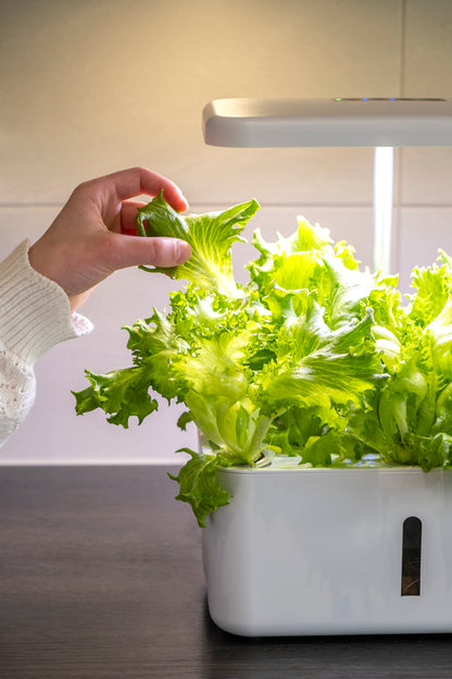 Hydroponinen vesiviljelyjärjestelmä Urban Growing P8