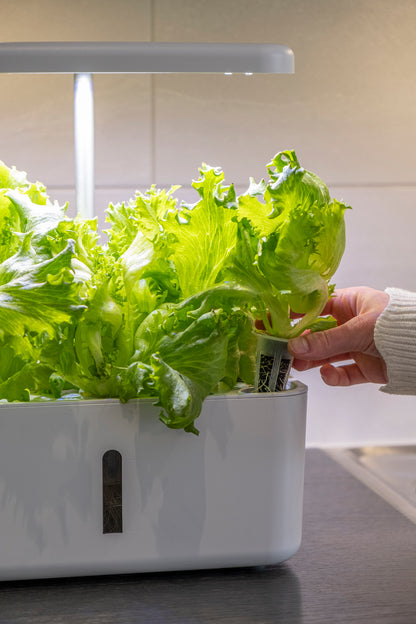 Hydroponinen vesiviljelyjärjestelmä Urban Growing P8